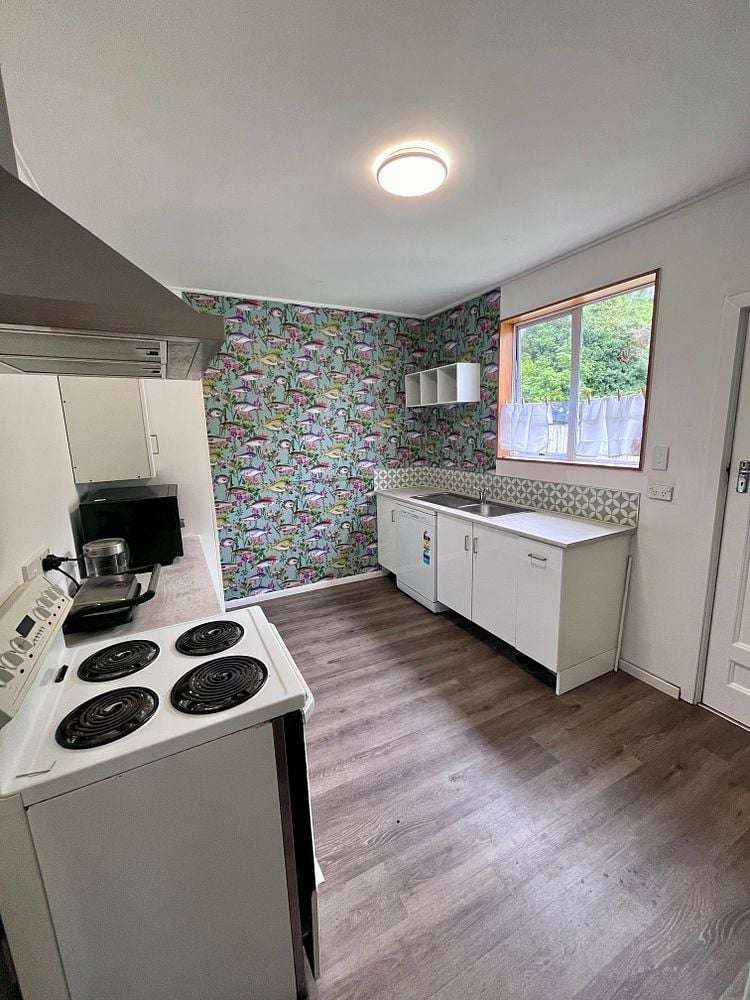38 Malvern Street Woodhaugh_1