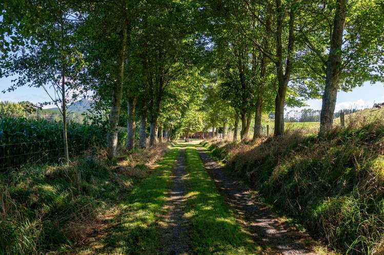 1830 State Highway 30 Horohoro_27