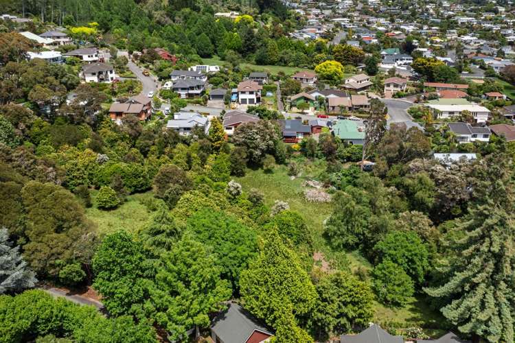 51 Selbourne Avenue Richmond_7