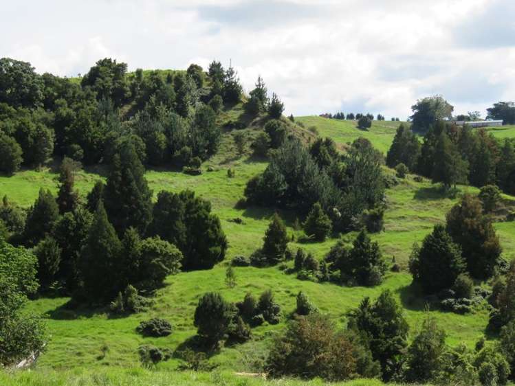 239 Taratara Road Kaeo_18