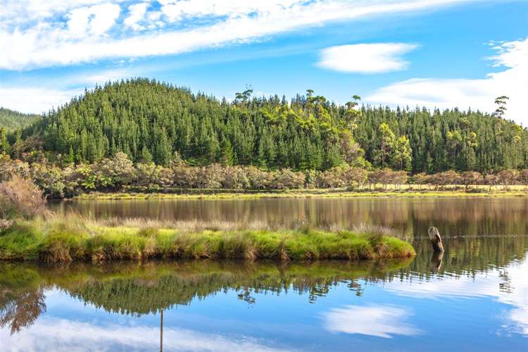 671 Hikuai Settlement Road Pauanui_16