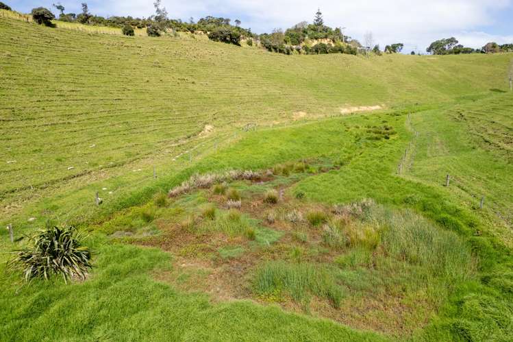 Lot 1 Rockell Road Whananaki_15