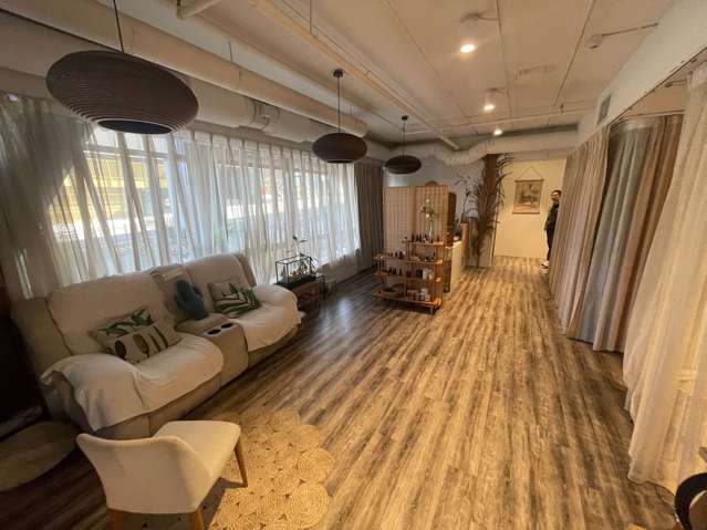 9/4 Williamson Ave Grey Lynn_4