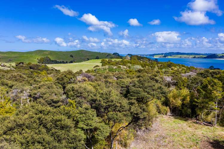 239 Rangiora Road Kaiwaka_5