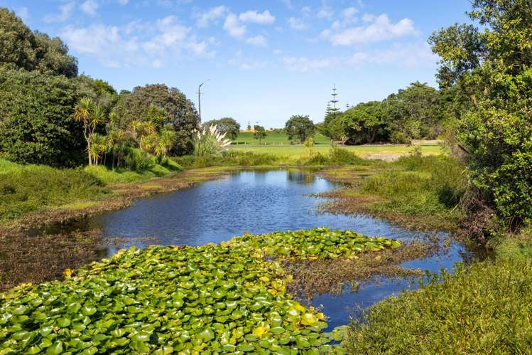 7 Greenway Rise Gulf Harbour_3