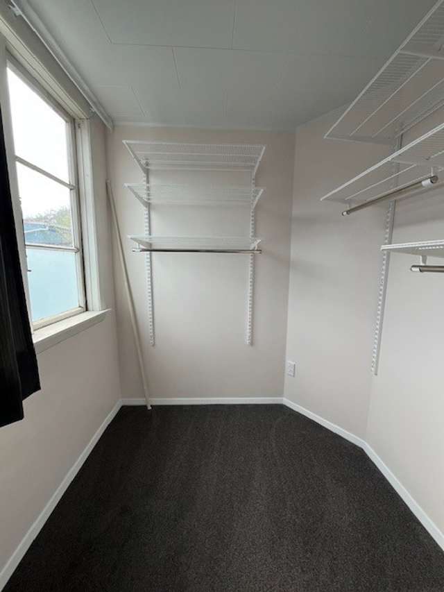 161 Ward Street 1845_4