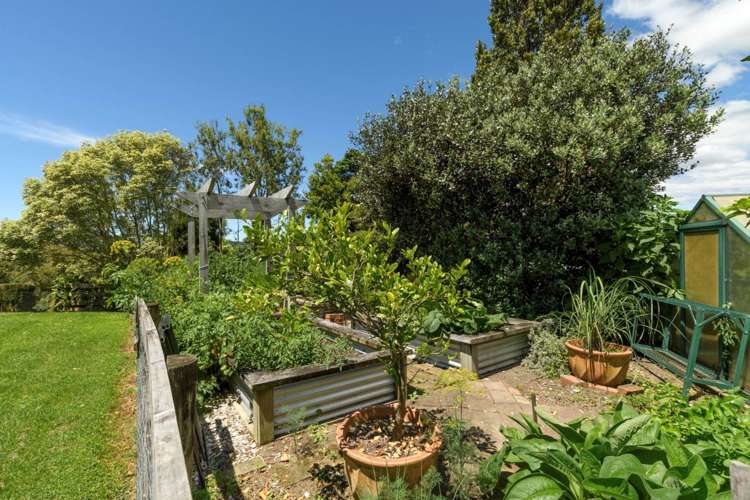 34E Plummers Point Road Whakamarama_27