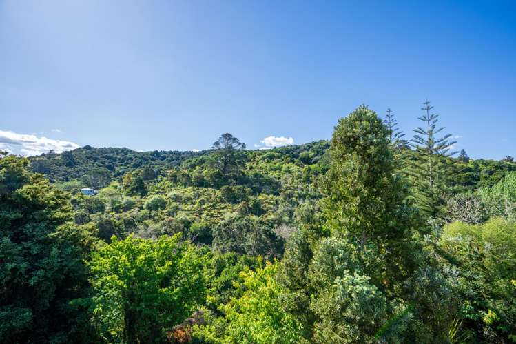 32 Scott Road Tamaterau_28