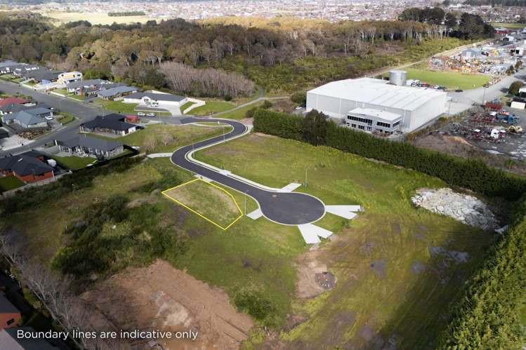18 Rakau Lane Waikiwi_8