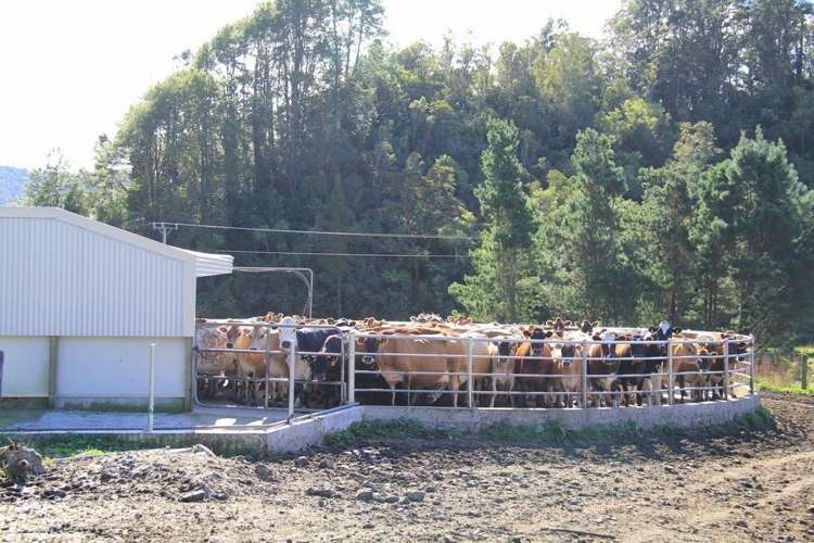 Karamea Highway Karamea_6