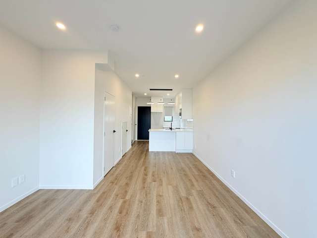 19 Kiato Lane Flat Bush_3