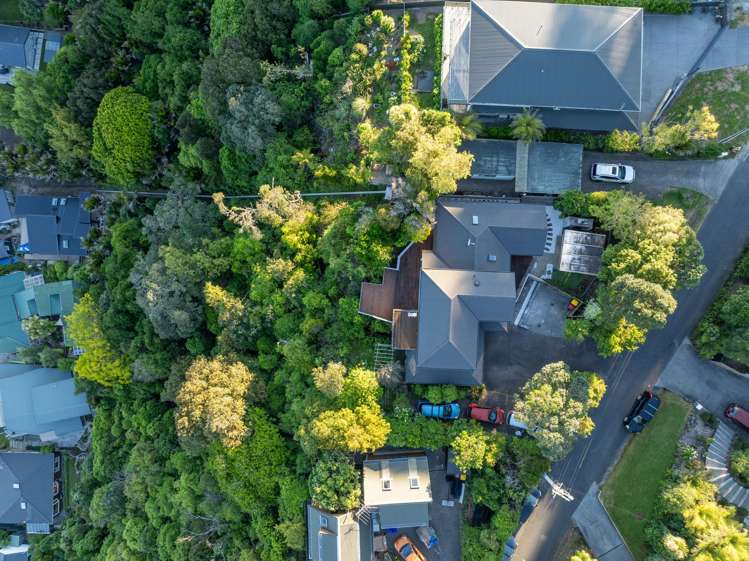 45 Pohutukawa Avenue Shelly Park_30