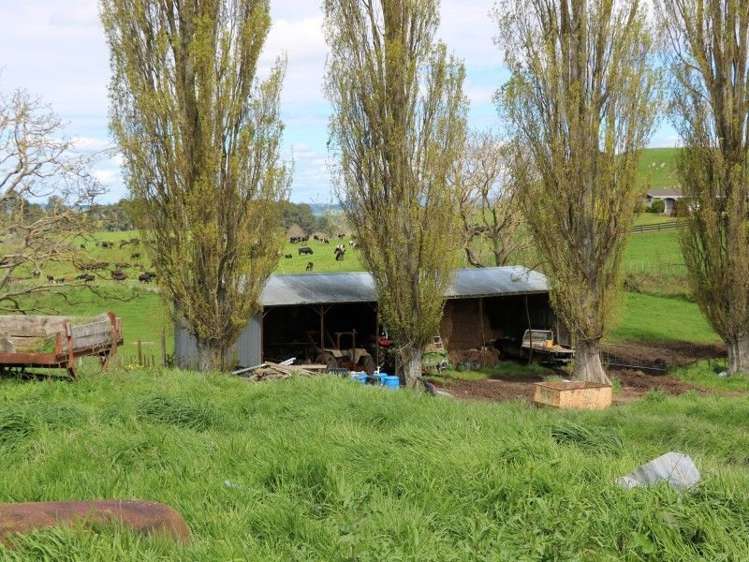 196 Hildreth Road Arapuni_44