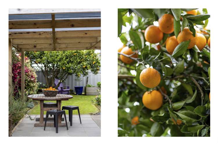 13 Twelfth Avenue Tauranga South_27