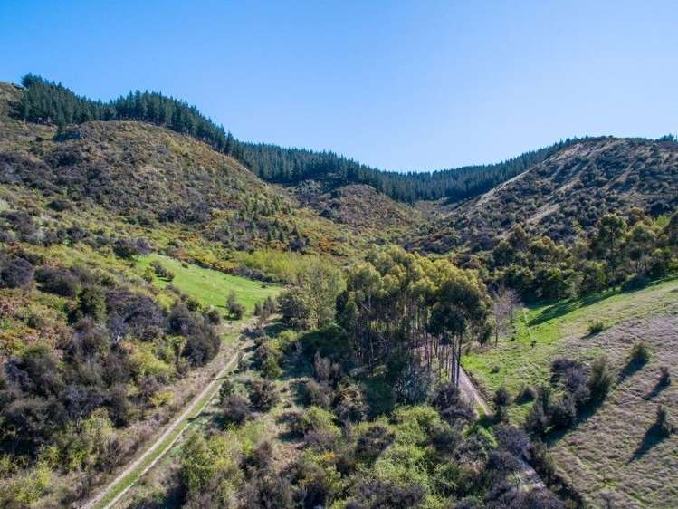 943 Taylor Pass Road Taylor Pass_15