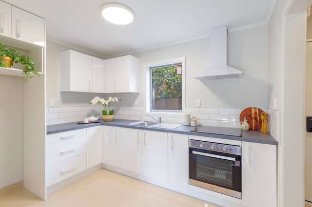 3/53 Mathesons Road Phillipstown_4