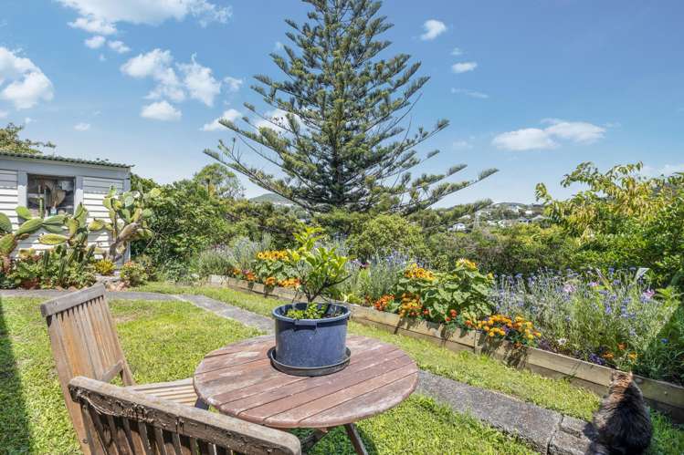 23 Sydenham Street Northland_13