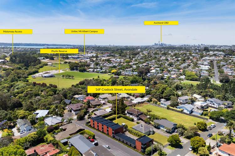 16F Cradock Street Avondale_15