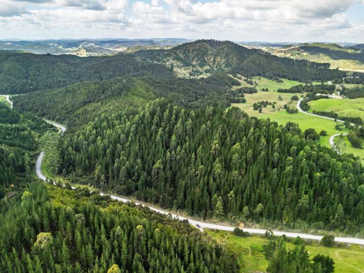 Pokapu Road Matawaia_5