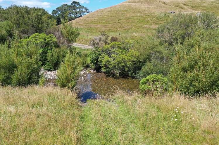 409 Mangaroa Road Eketahuna_11