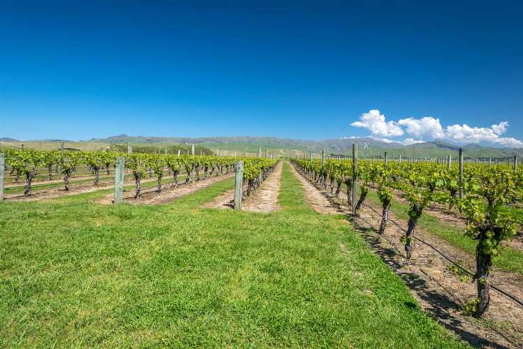 671 New Renwick Road Fairhall_49