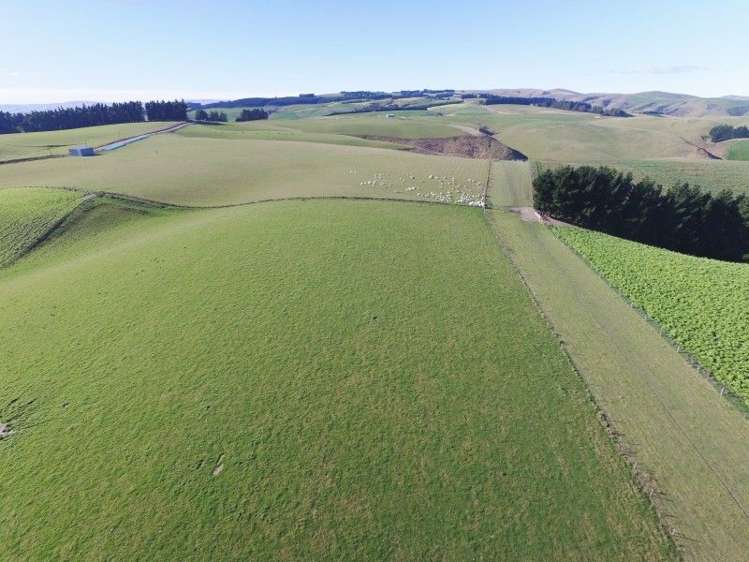 1763 Moa Flat Road West Otago Surrounds_6