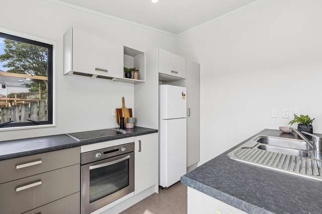 78c Queens Drive Lyall Bay_4