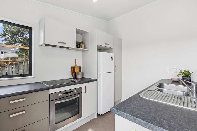 78C Queens Drive Lyall Bay_4