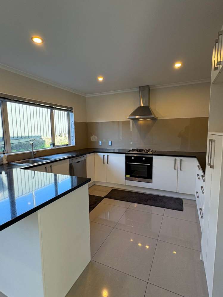 9b Arran Street Avondale_2