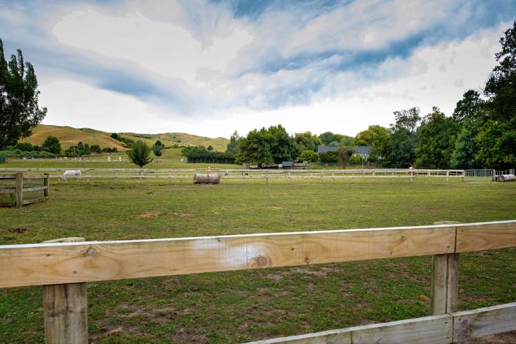 358 Dartmoor Road Puketapu_19