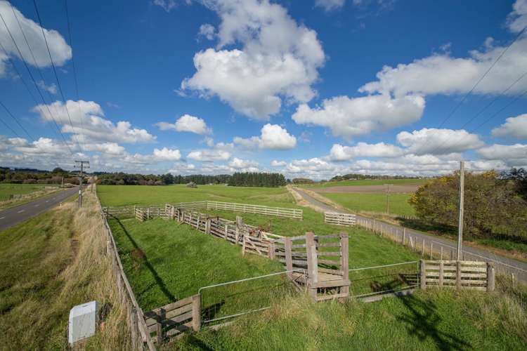 473 Lees Road Feilding_4