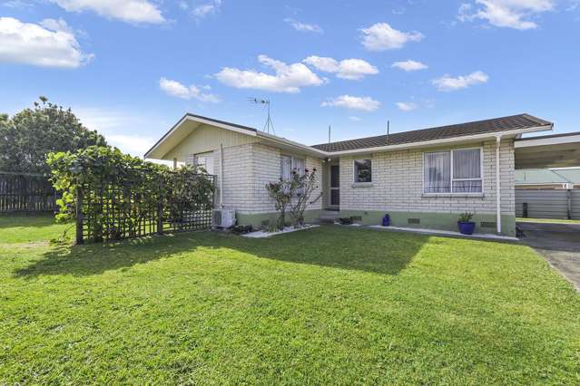 30b Barnett Street Putaruru_1