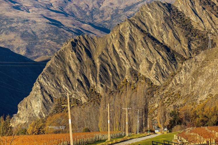 Gibbston Back Road Gibbston_7