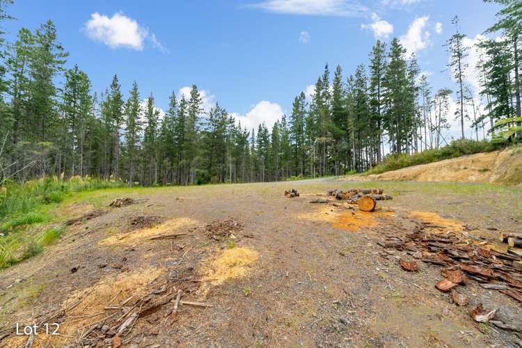 46 Crest Road Akatarawa_12