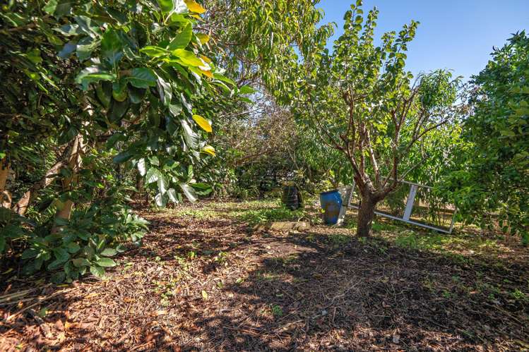 78 Waioeka Road Otara_28