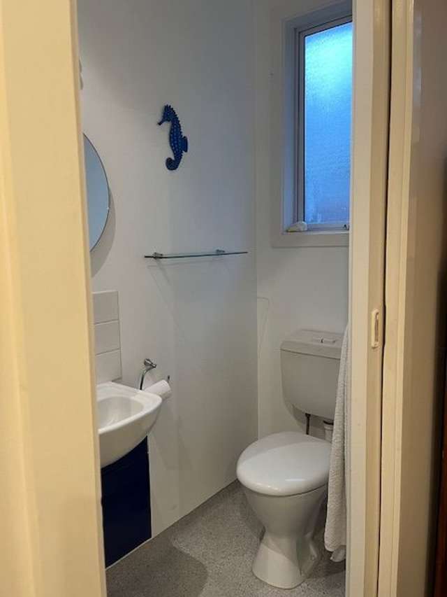 58 Dryden Street Sumner_4