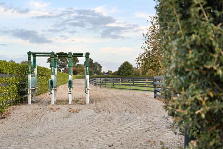 505 Bruntwood Road Tamahere_40