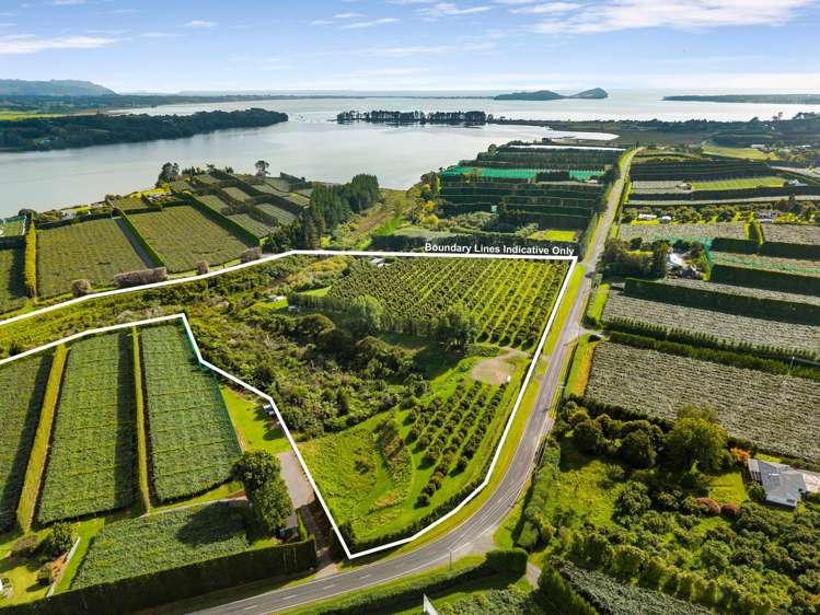 169 Tuapiro Road Katikati_20