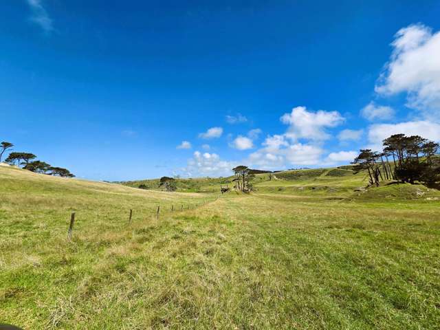 Mount Wesley Coast Road Dargaville_2