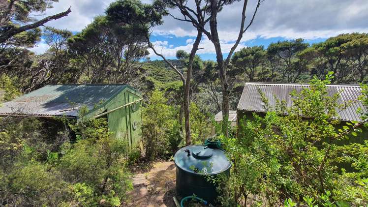 Lot 4 DP66008 North Cove Kawau Island_15