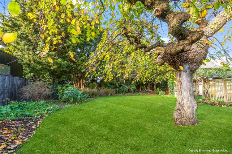 6 Awatea Terrace Hokowhitu_28