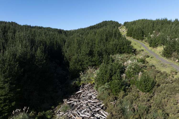 Lot 3 and 4/169 Tunatahi Road Panguru_10