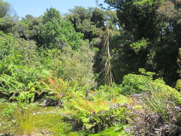 146 Havill Drive Hokitika_8