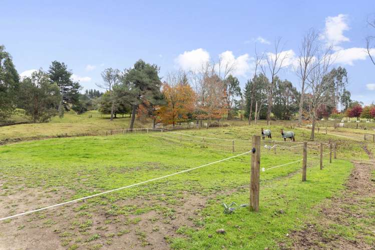 716 Oruanui Road Oruanui_13