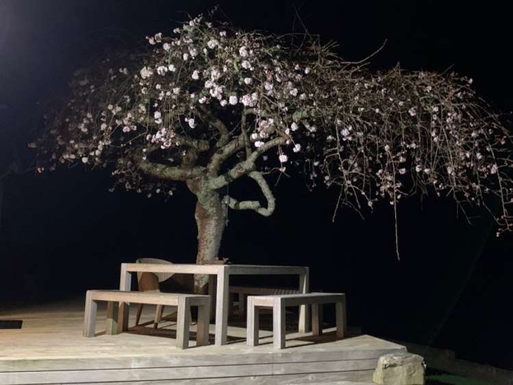 128d Otonga Valley Road Raglan_16