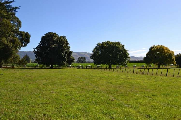 230 Bush Road Mosgiel_12