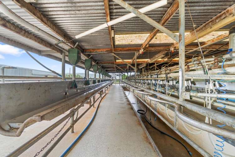 63 Harbottle Road Morrinsville_6