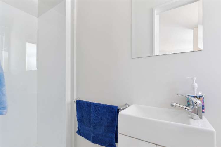 4d Mill Road Leithfield_16