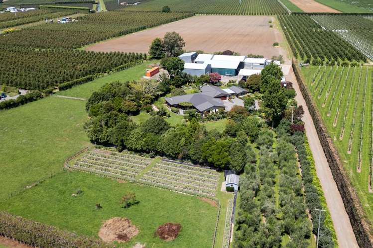 438 Twyford Road Twyford_30