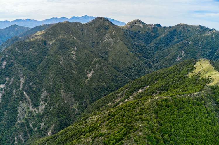 20 Moana Road Kaikoura_11